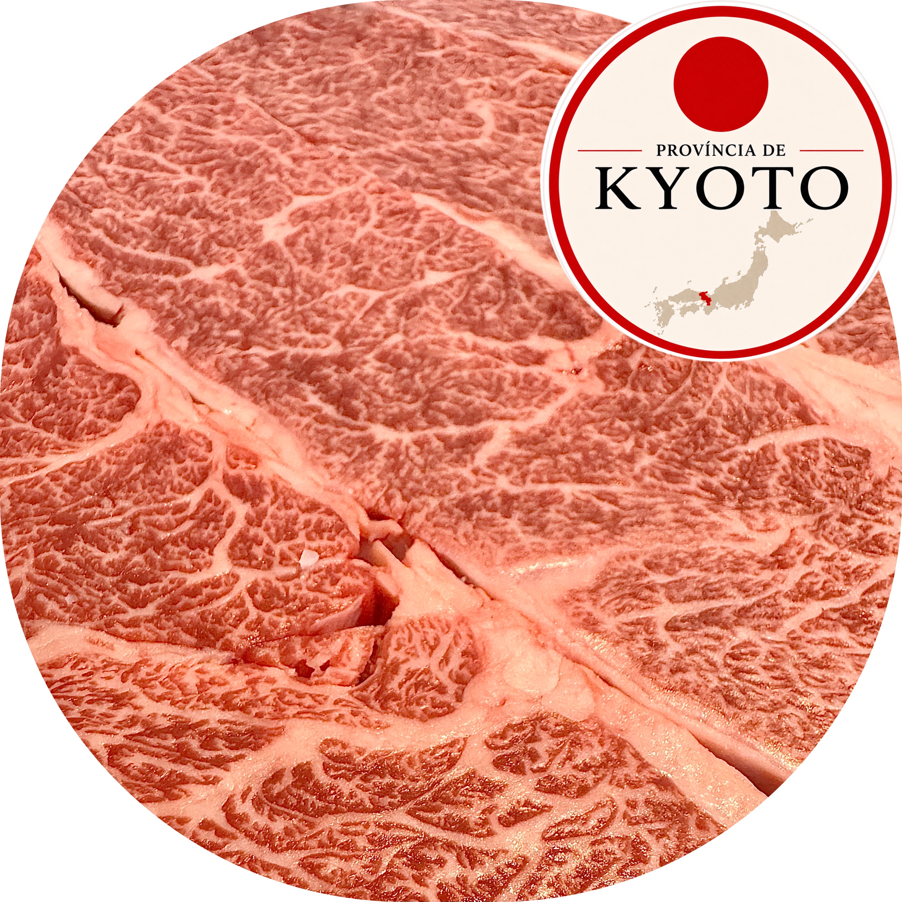 Fraldinha A5 BMS12 Província Kyoto 200g